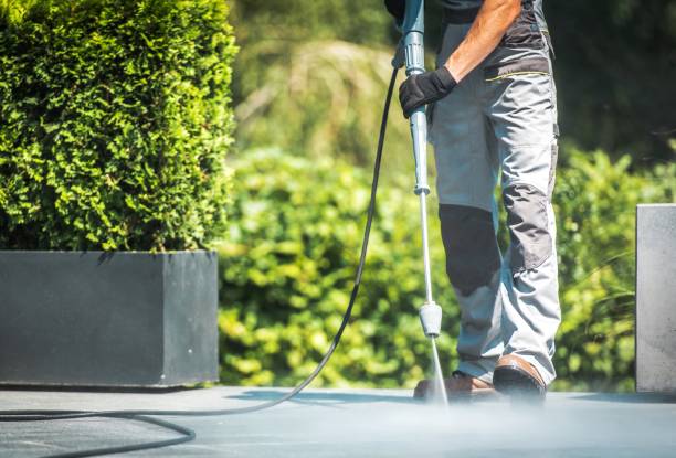 Best Pool Deck Cleaning in Zephyrhills West, FL